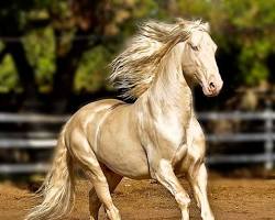 5 дней в Туркменистане: Дарваза • ЮНЕСКО Куня Ургенч • Янгыкала • Нохур • Туркменбаши • Ков Ата 5 дней в Туркменистане: Дарваза • ЮНЕСКО Куня Ургенч • Янгыкала • Нохур • Туркменбаши • Ков Ата